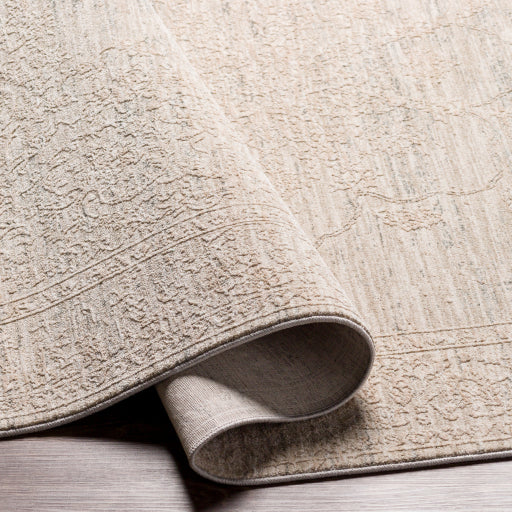 surya rug co laila laa 2301 beige rug