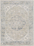 surya lillian lll 2311 taupe rug