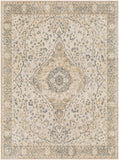 surya lillian lll 2322 taupe rug