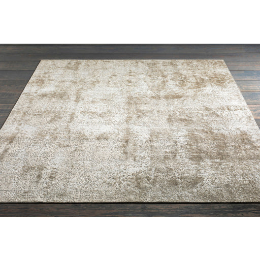 surya lucknow luc 2305 beige rug