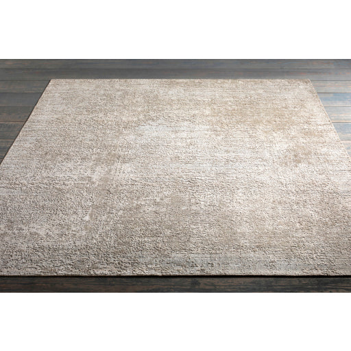 surya lucknow luc 2306 taupe rug