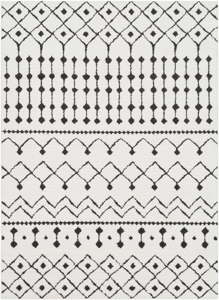 Surya rug co. | Black rug | White Rug | Shag Rug|  woven rug | Moroccan |rugs done right 