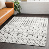 Surya rug co. | Black rug | White Rug | Shag Rug| woven rug | Moroccan |rugs done right