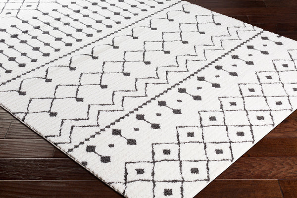 Surya rug co. | Black rug | White Rug | Shag Rug| woven rug | Moroccan |rugs done right