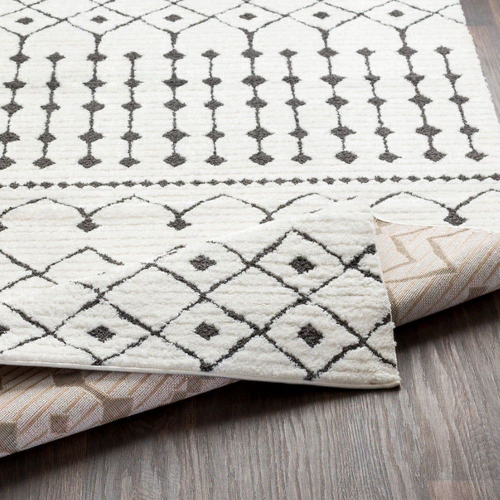 Surya rug co. | Black rug | White Rug | Shag Rug| woven rug | Moroccan |rugs done right