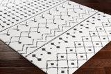 Surya rug co. | Black rug | White Rug | Shag Rug| woven rug | Moroccan |rugs done right