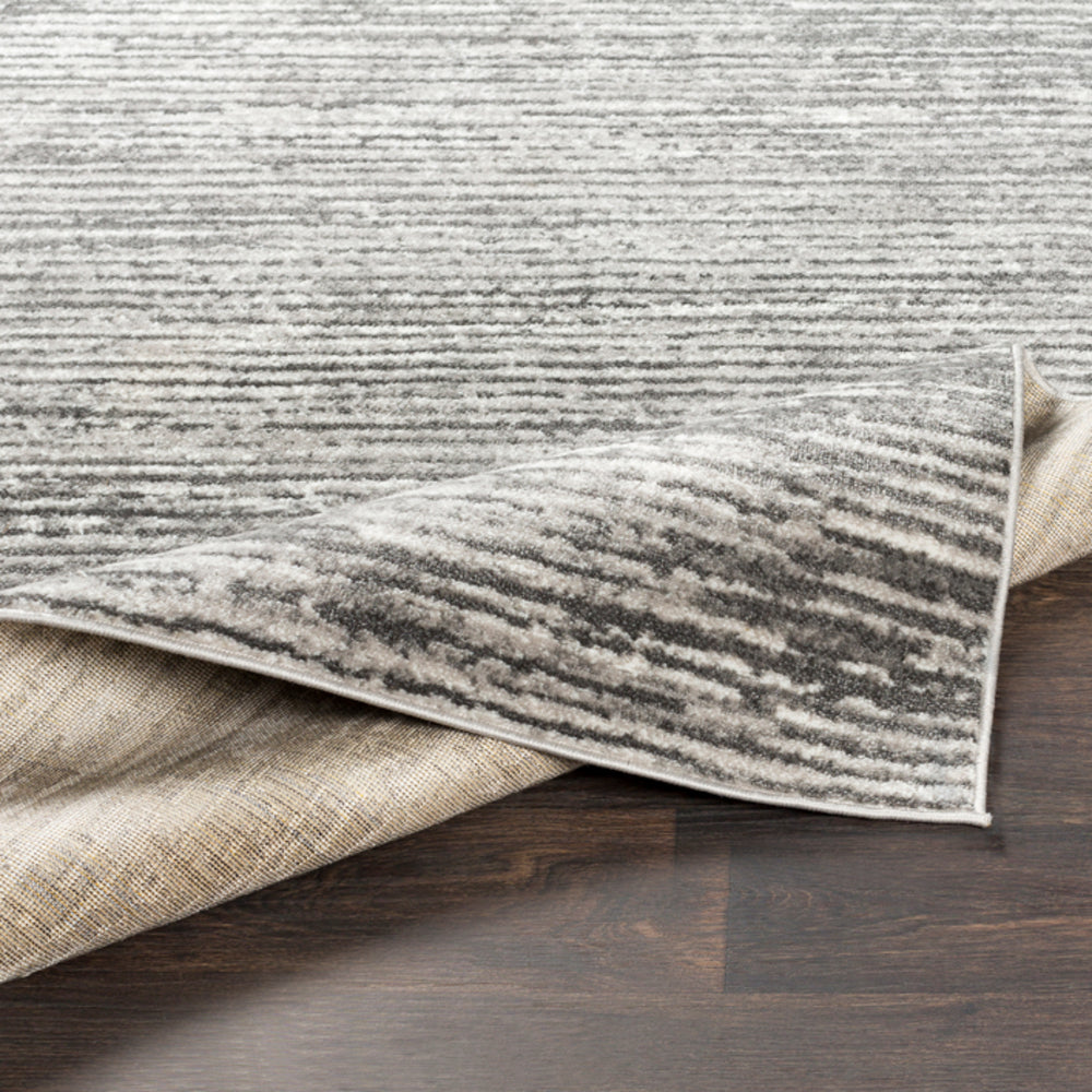 Surya Closeout Monte Carlo MNC-2308 Light Gray Rug