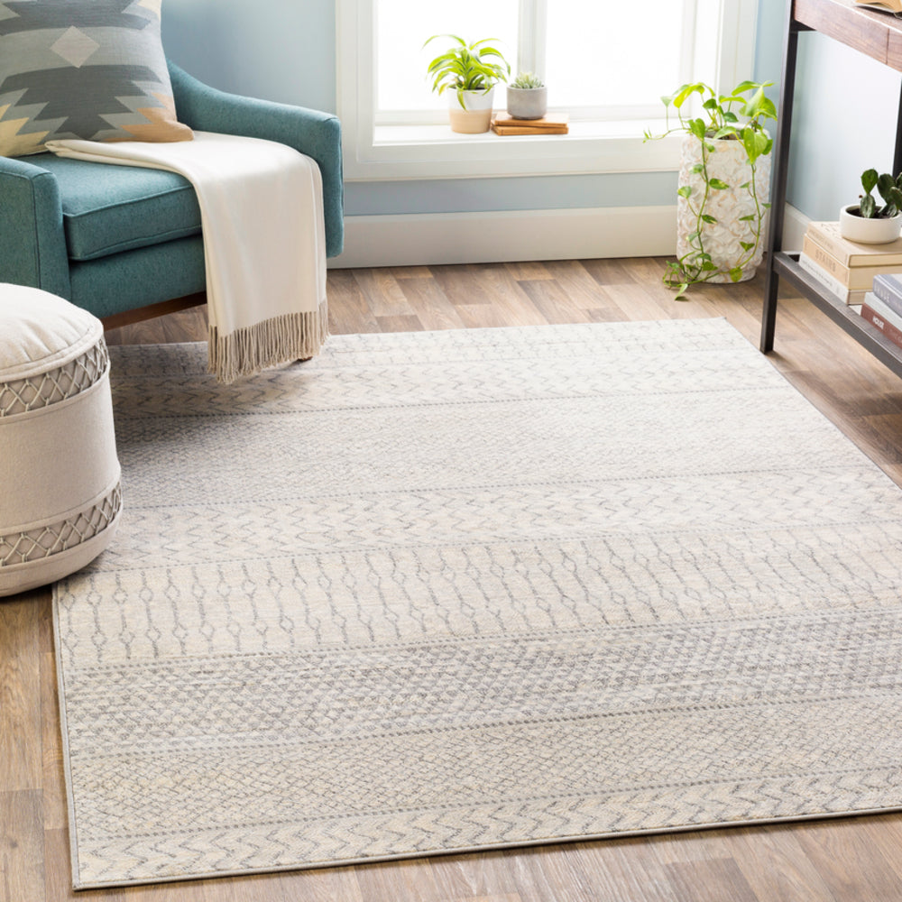 Contemporary Surya Rug Co. Monaco Silver Gray Rug | Indoor Rugs | Rugs Done Right 