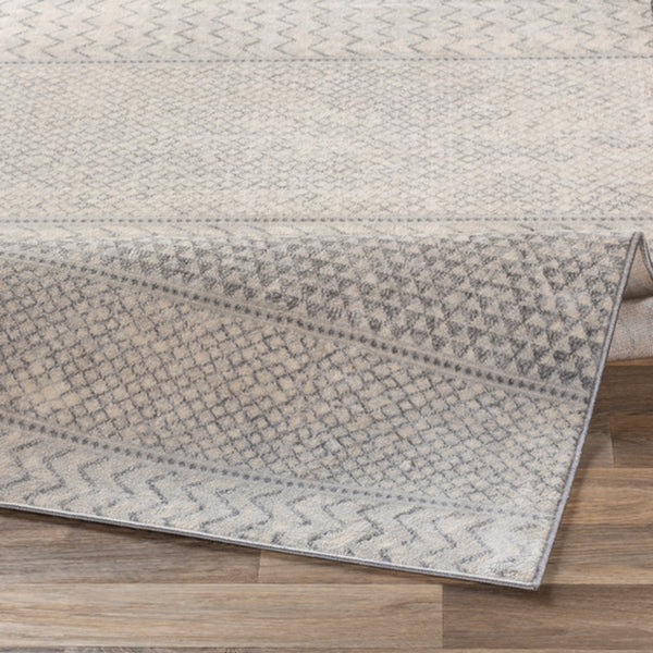 Surya Rug Co. Monaco  Gray Rug | Monaco Rugs | Rugs Done Right 