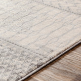 Surya Rug Co. Monaco Silver Gray Rug | Silver Gray Rugs | Rugs Done Right 