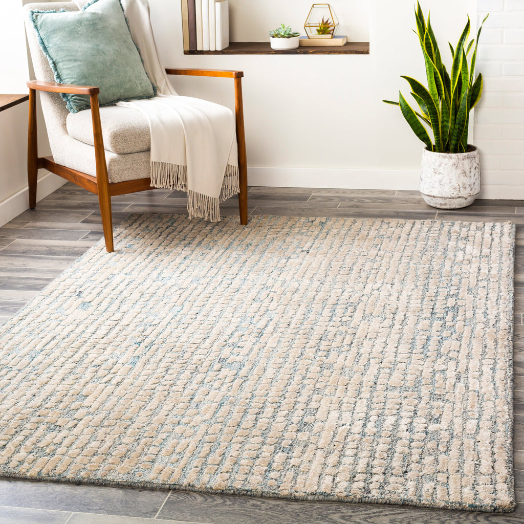 Surya Montclair Taupe Rug | Surya Rugs | Rugs Done Right 