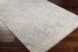 surya rug co montclair mtc 2312 sky blue rug