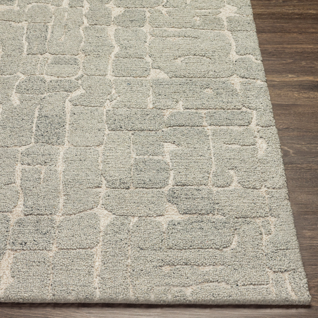 surya madelyn myn 2305 gray rug