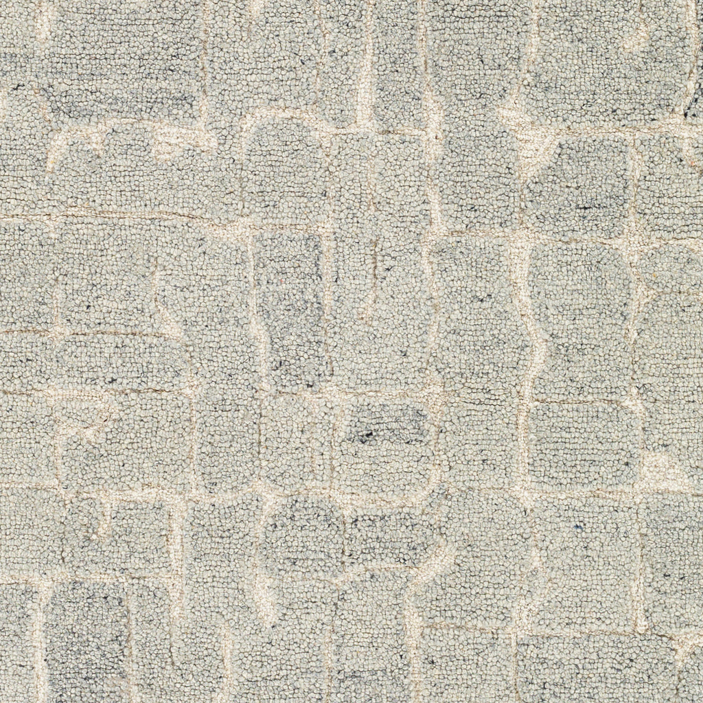 surya madelyn myn 2305 gray rug