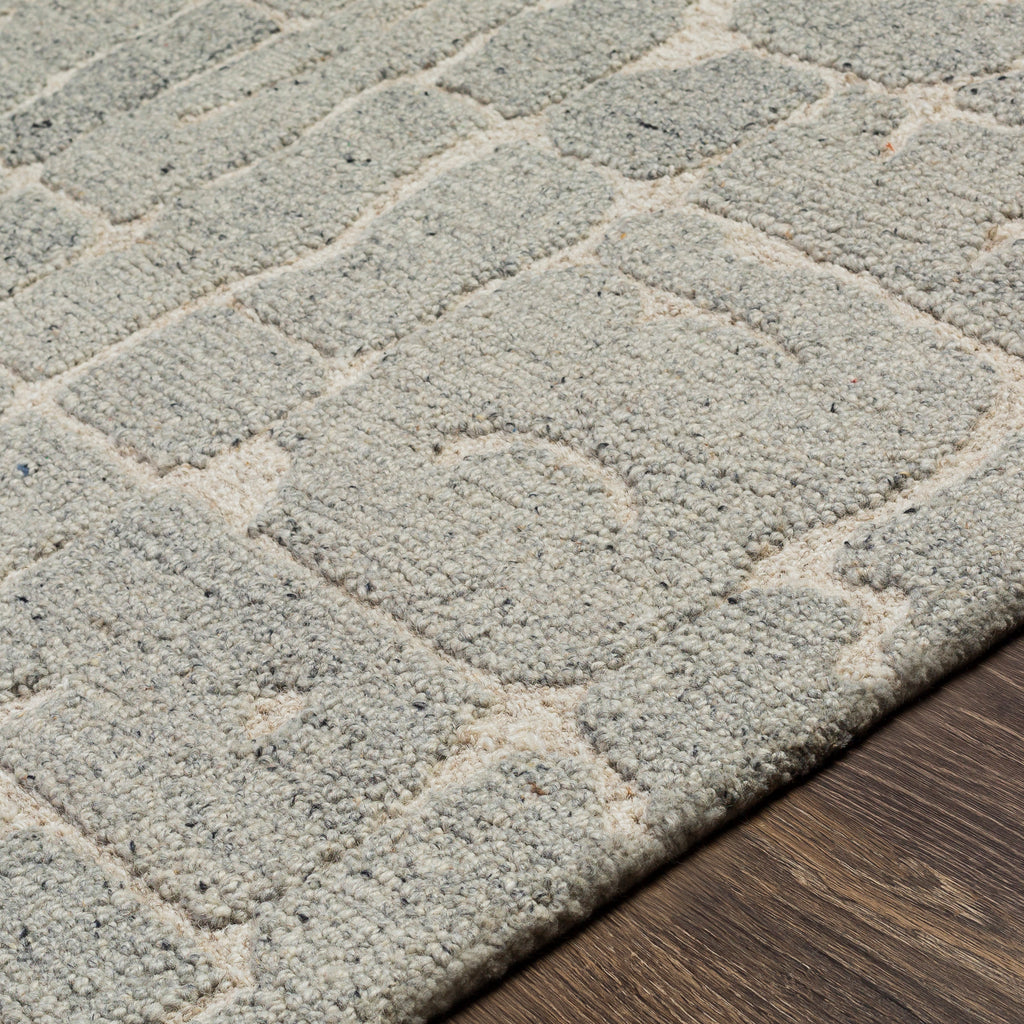 surya madelyn myn 2305 gray rug