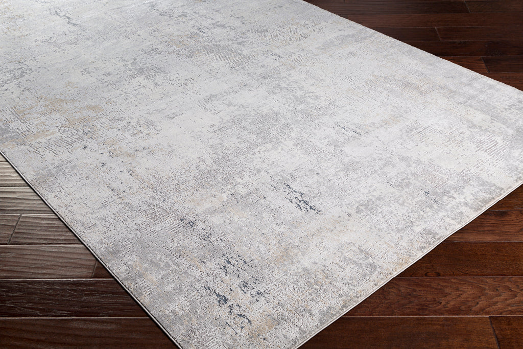 Surya Rug Co. Norland Light Gray Rug | Surya Rugs | Rugs Done Right