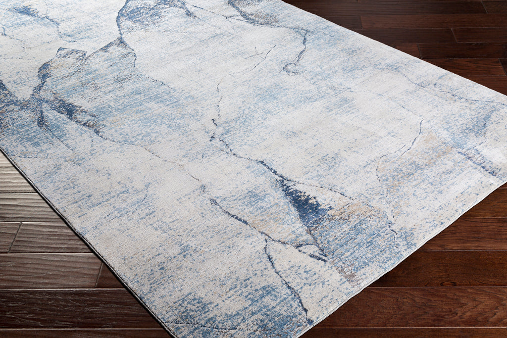 surya rug co norland nld 2309 light gray rug