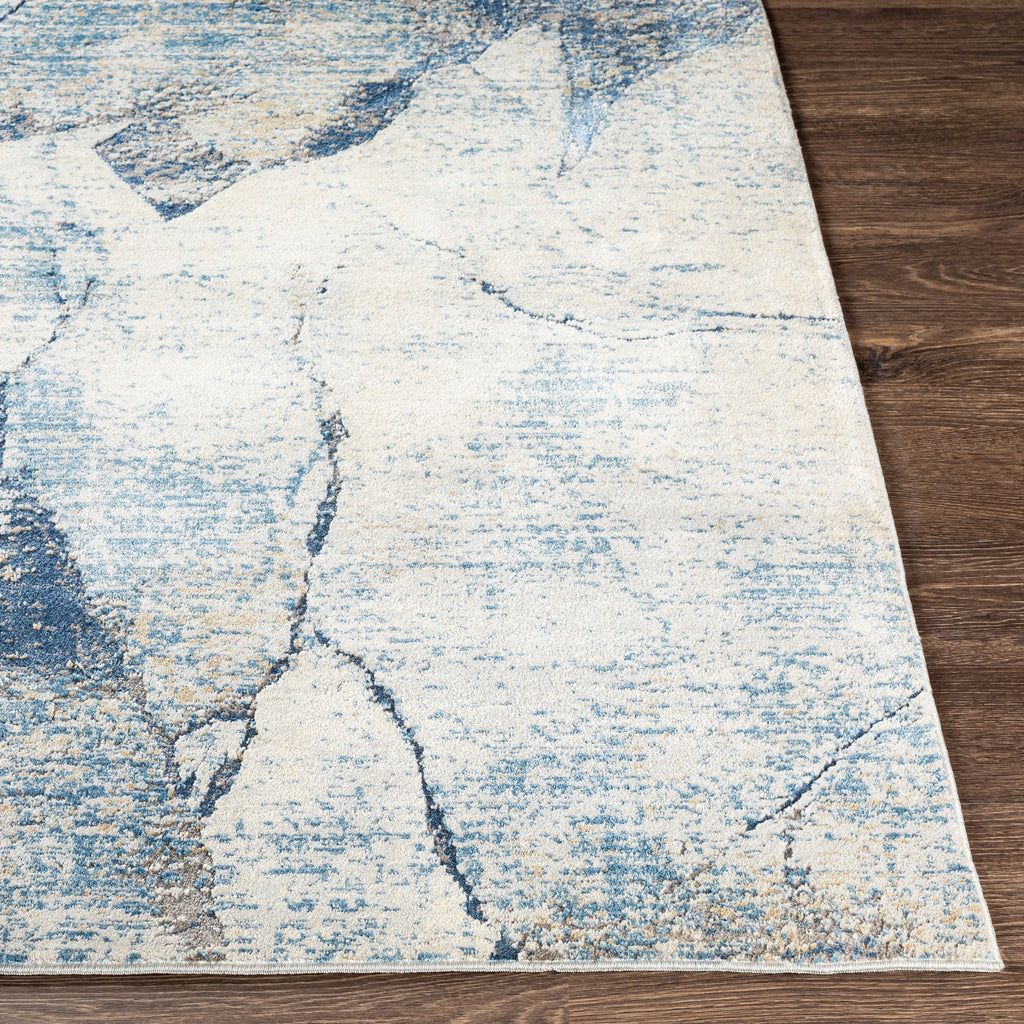 surya rug co norland nld 2309 light gray rug