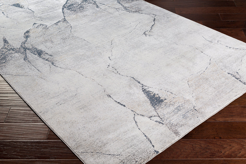 surya rug co norland nld 2311 light gray rug