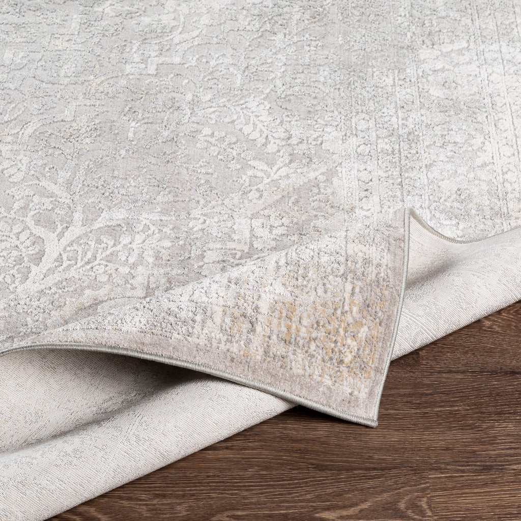 Traditional Surya Norland Medium Gray Rug | Traditional Rugs | Rugs Done Right