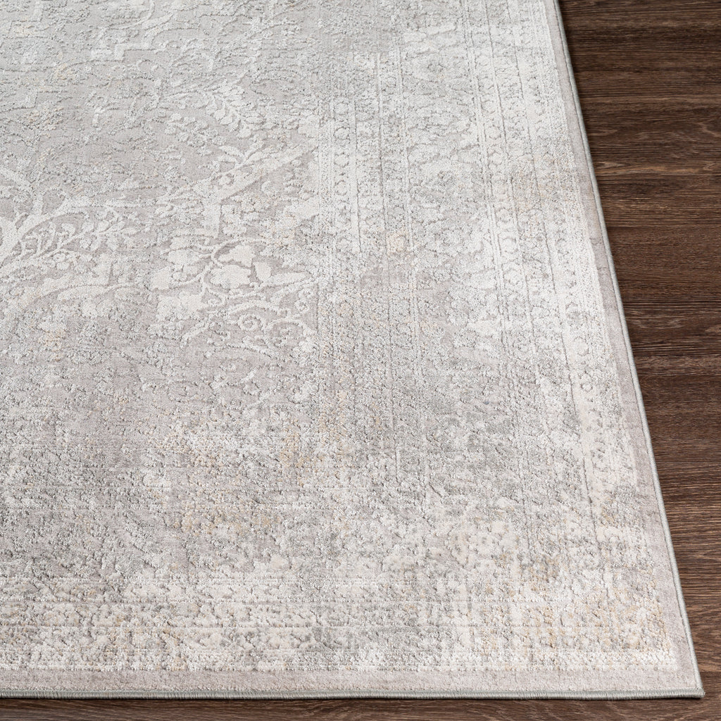 Traditional Surya Norland Medium Gray Rug | Traditional Rugs | Rugs Done Right