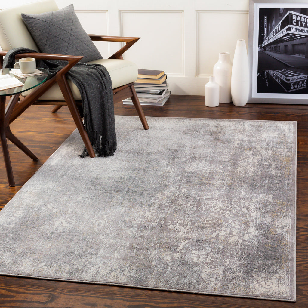 Traditional Surya Norland Medium Gray Rug | Traditional Rugs | Rugs Done Right