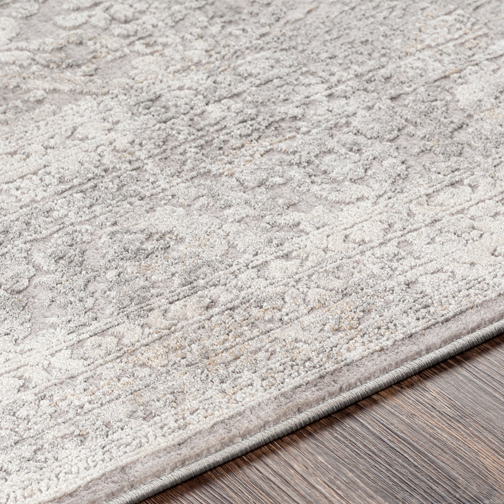 Traditional Surya Norland Medium Gray Rug | Traditional Rugs | Rugs Done Right