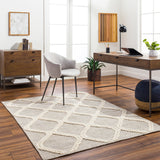 surya nina nna 2300 rug