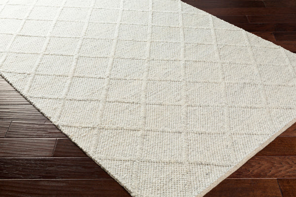 Surya Closeout Napels NPL-2304 Medium Gray Rug