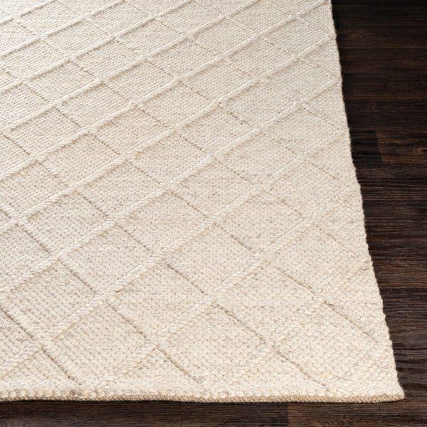 Surya Closeout Napels NPL-2304 Medium Gray Rug