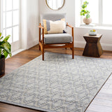 surya napoli npo 2314 rug