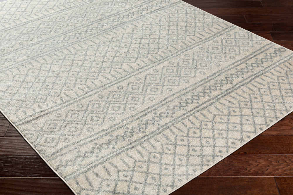 Surya Closeout Norwich NWC-2303 Light Gray Rug