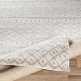 Surya Closeout Norwich NWC-2303 Light Gray Rug