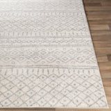 Surya Closeout Norwich NWC-2303 Light Gray Rug