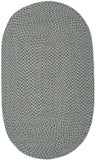 Safavieh Clearance Braided BRD170A Aqua Rug