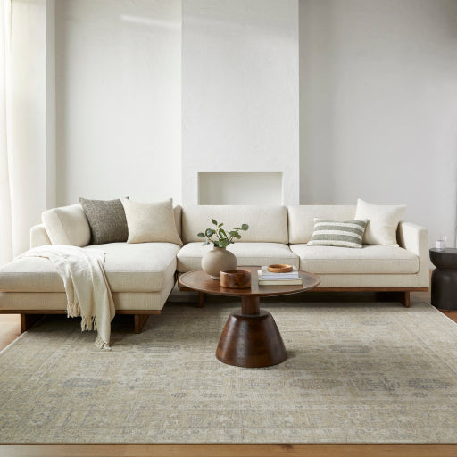 surya once upon a time oat 2307 ash rug