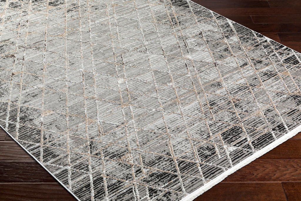 surya obsession obn 2301 taupe rug