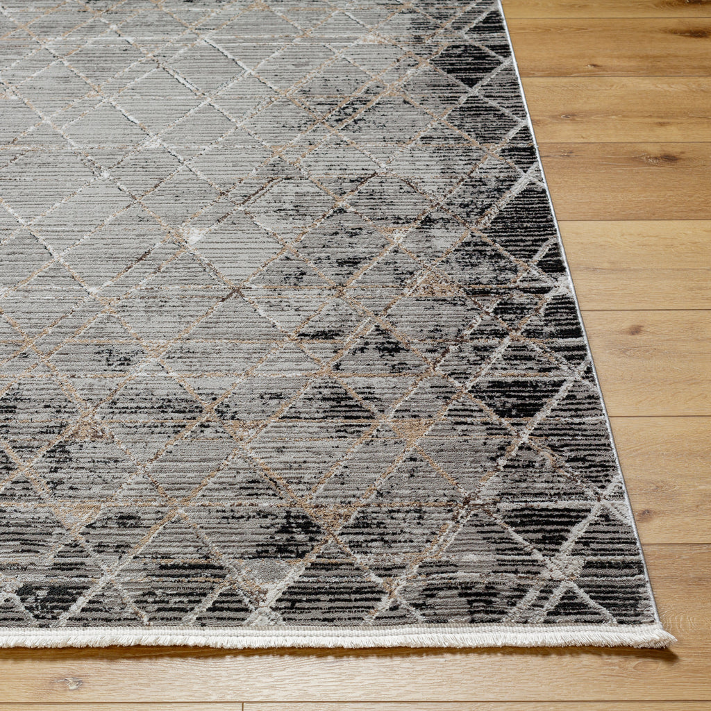 surya obsession obn 2301 taupe rug