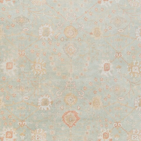 safavieh clearance oushak osh117b dark green rug