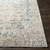 Surya Rug Co. Presidential Pale Blue Rug | Outdoor Rugs | Rugs Done Right 
