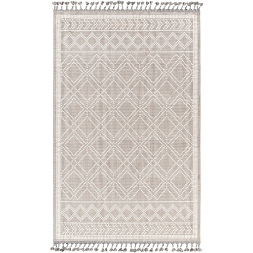 surya palermo plr 2300 taupe rug