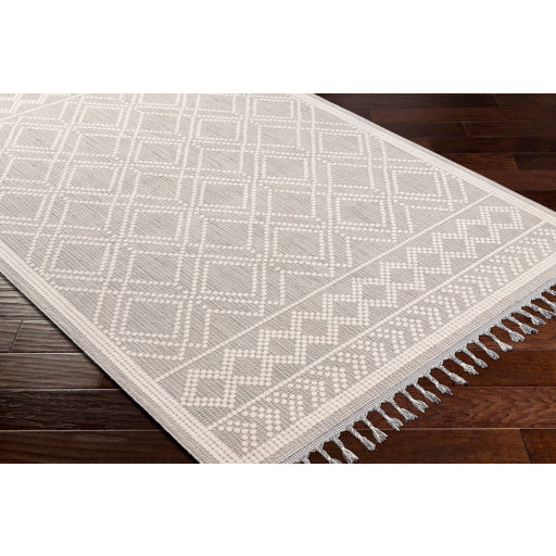 surya palermo plr 2300 taupe rug