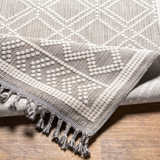surya palermo plr 2300 taupe rug