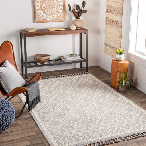 surya palermo plr 2300 taupe rug