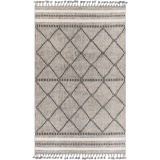 surya palermo plr 2301 taupe rug