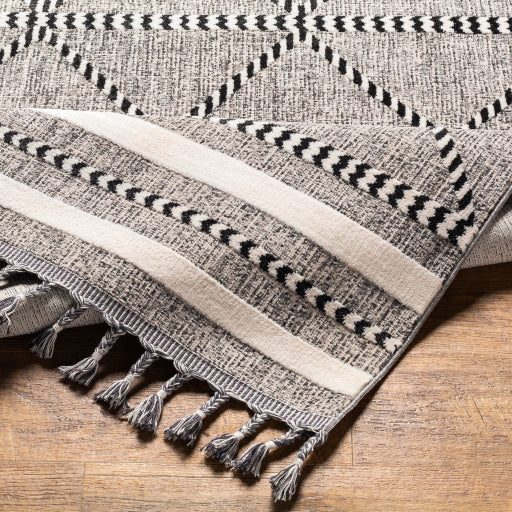surya palermo plr 2301 taupe rug