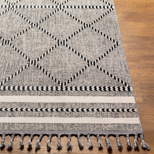 surya palermo plr 2301 taupe rug