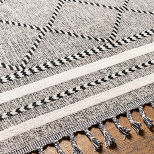 surya palermo plr 2301 taupe rug