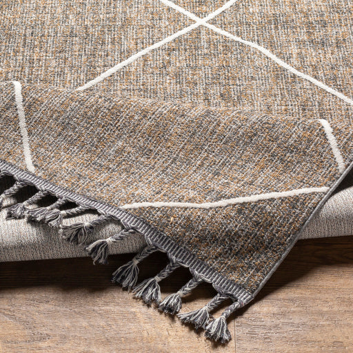 surya palermo plr 2303 taupe rug