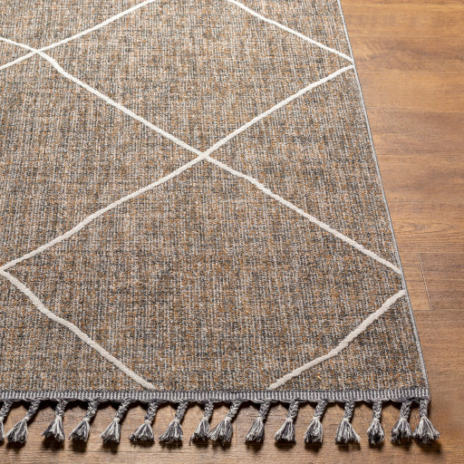 surya palermo plr 2303 taupe rug